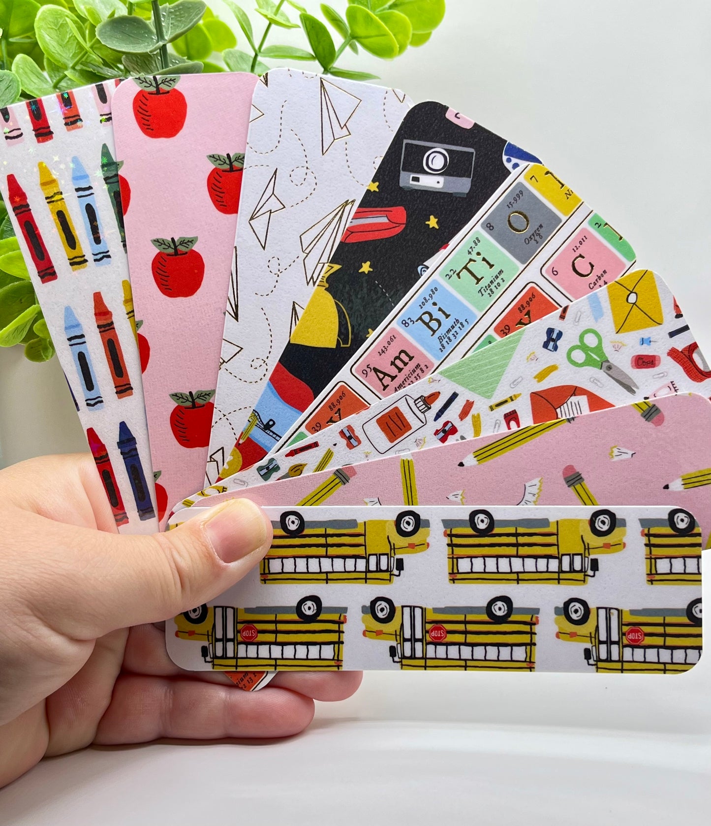 Magnetic School Collection
